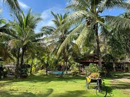 Team building Leo travel lagi